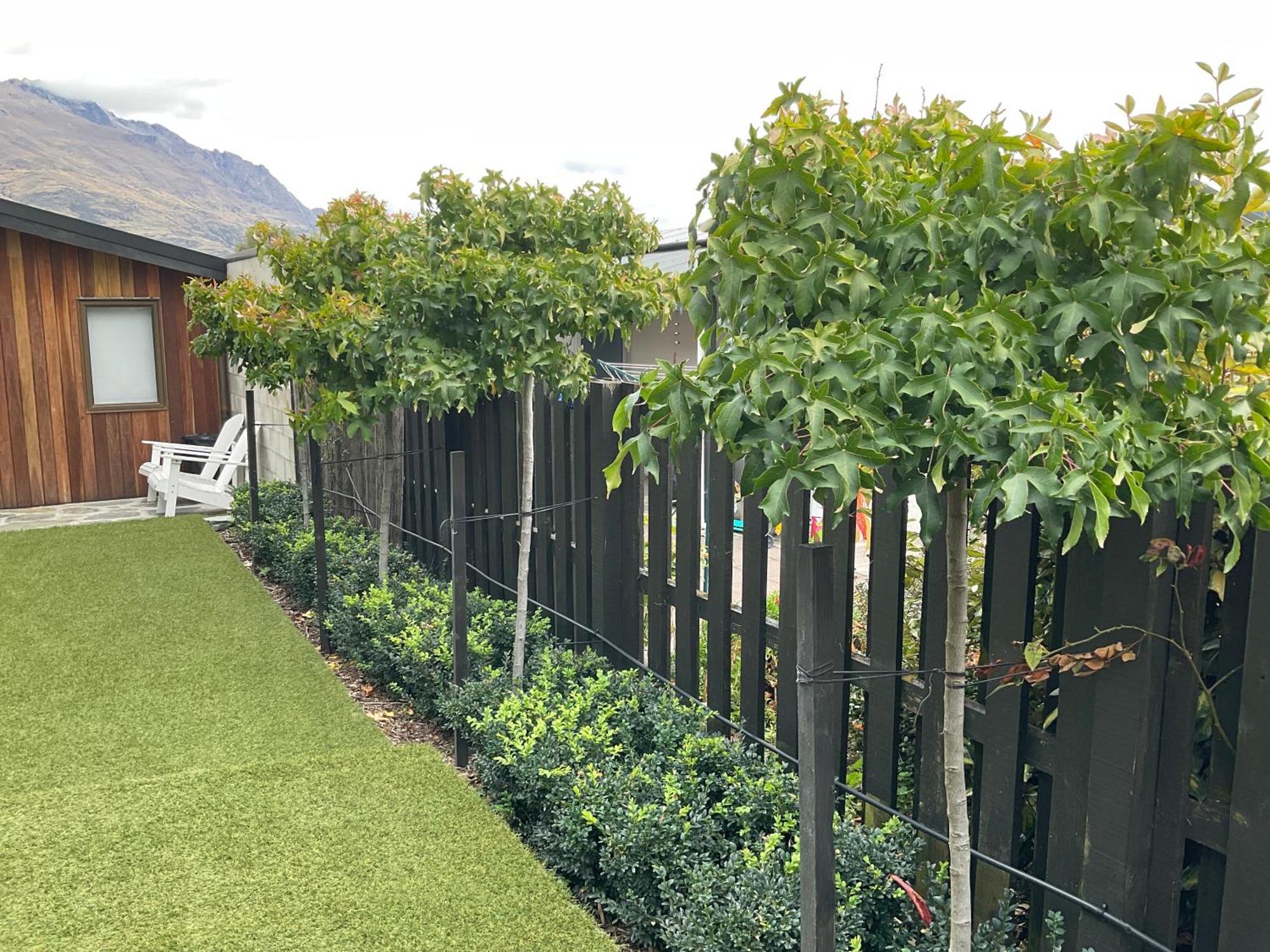 Amber View * Queenstown